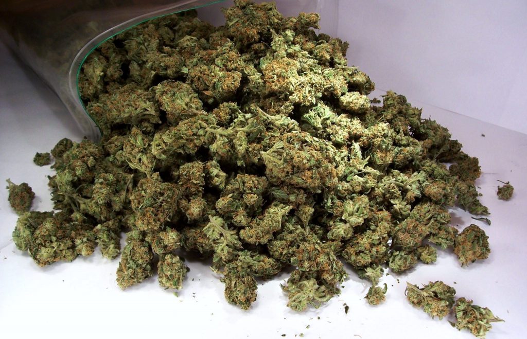 Македония легализира марихуаната за медицински цели. | Novinite.EU image 2